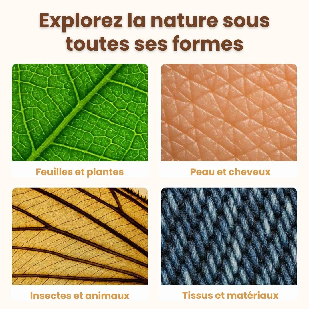 Microscope aventurier