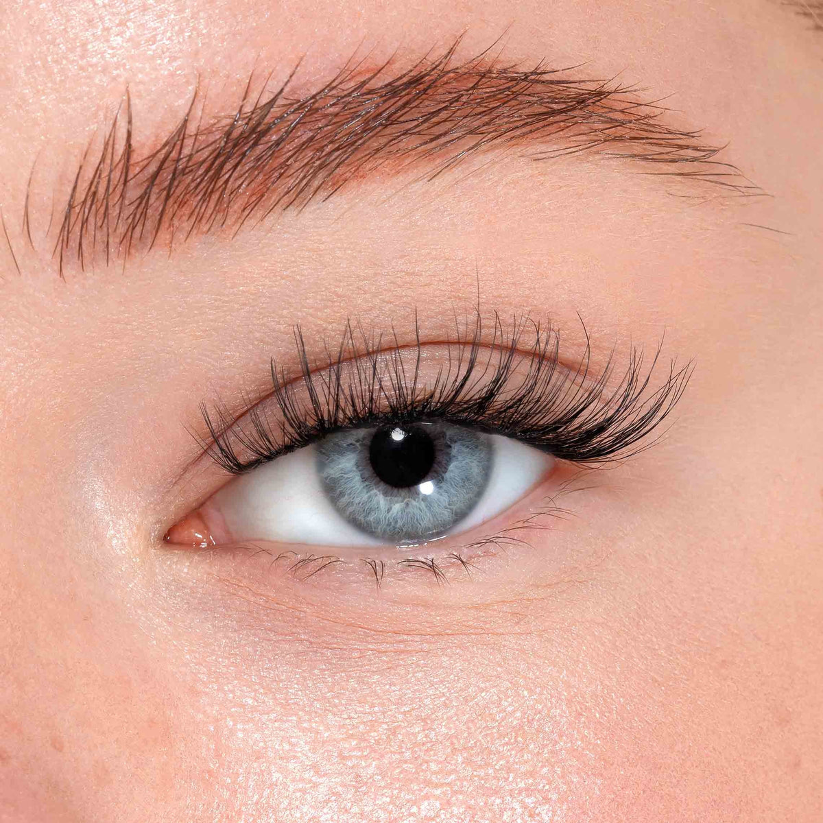 Starter kit - cils sans colle